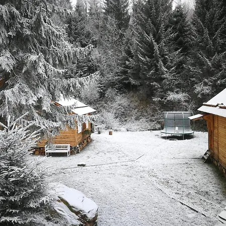 Chalet Homorod *