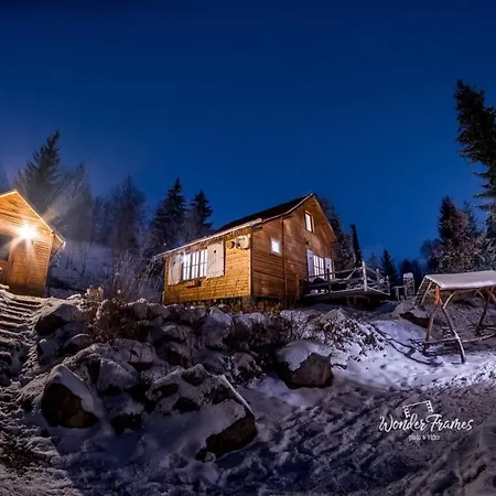 Chalet Homorod *