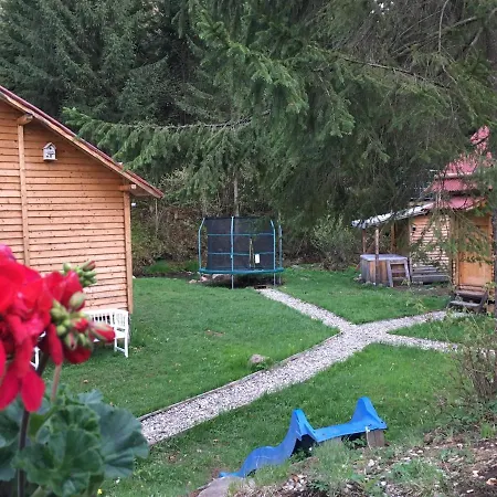 Chalet Homorod Baile Homorod