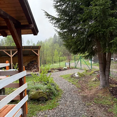 Chalet Homorod *