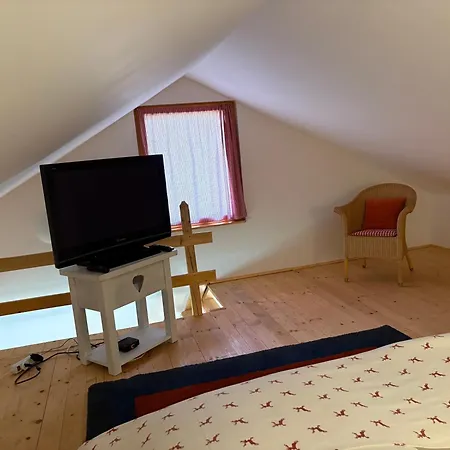 Chalet Homorod *
